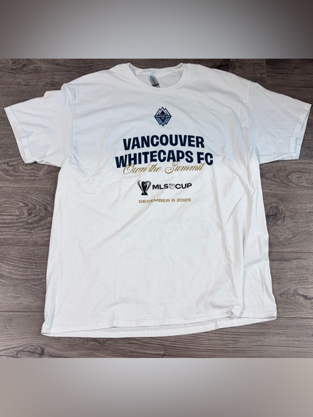 Vancouver Whitecaps MLS Cup Finals Own The Summit Dec 6 2025 Gildan T-Shirt XL